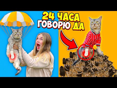 Видео: 24 ЧАСА ГОВОРЮ ДА КОТУ БЕЗ ЛАПЫ | СКУПИЛИ ВСЕХ МЫШЕК