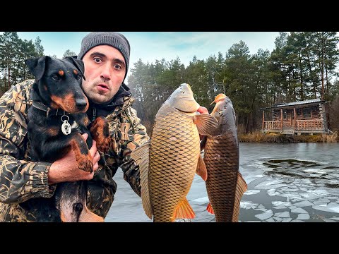 Видео: Ловля карпа на Хапуги, по первому льду.
