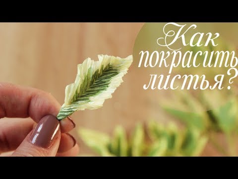 Видео: Крашу листья БЕЛИЗНОЙ. Зелень из гофрированной бумаги. Курс "Свежесть"