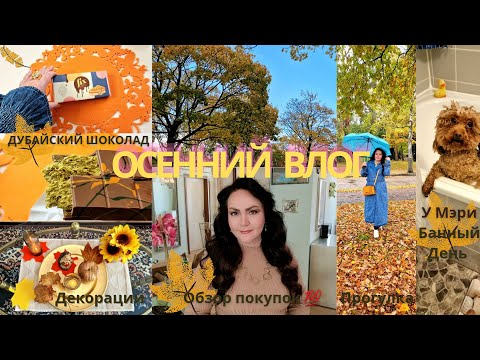 Видео: ОСЕННИЙ ВЛОГ.☔️. ДЕКОРАЦИИ ДОМА🏠. ОБЗОР НОВИНОК: PANDORA, ALDO, YVES ROCHER 🌝. 
