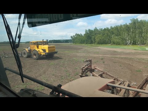 Видео: ДВА КИРОВЦА С КПШ-9 НА ОДНОМ ПОЛЕ РАБОТАЮТ