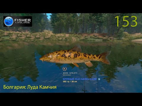 Видео: #153 Болгария: Луда Камчия ч.18 Путь к серебру: усач балканский. Прохождение Fisher Online