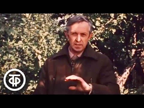 Видео: Советы по хранению урожая в зимний период. Наш сад (1985)