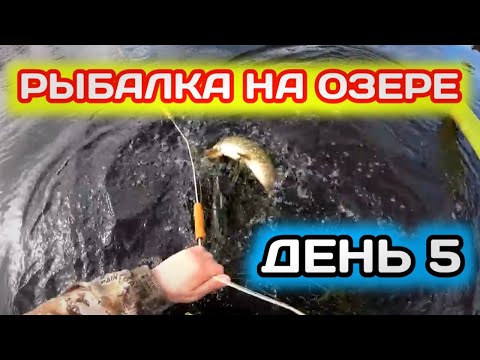 Видео: Весенняя Рыбалка сетями на Лесном Озере | День 5