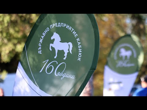 Видео: Трейлър