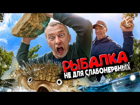 Видео: РЫБАЛКА В НОРВЕГИИ! ОНИ РАЗГИБАЮТ КРЮЧКИ и РВУТ ШНУРЫ!