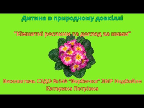 Видео: Дитина у природному довкіллі для дітей молодшого віку.Кімнатні рослини.