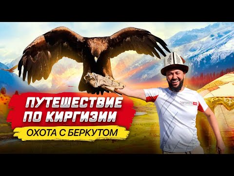 Видео: Путешествие по Киргизии! Охота с беркутом. Как живут в краю степей, кочевников и больших гор