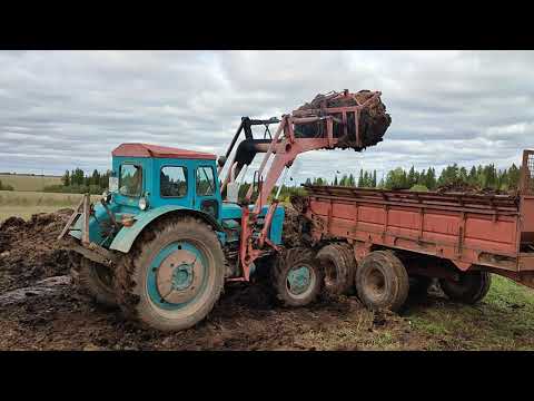 Видео: Грузим навоз трактором Т-40, МТЗ-82, РОУ-6.