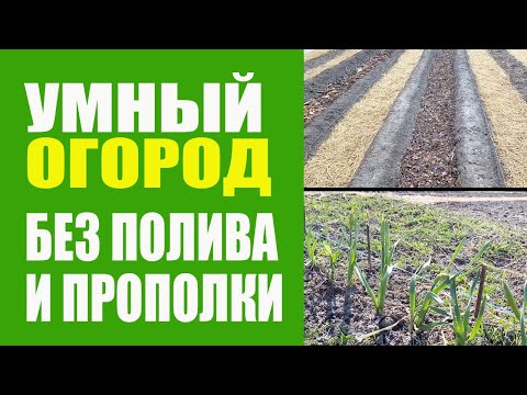 Видео: Умный Огород - 1 ч. Не Нужно Поливать И Пропалывать. Урожайный Огород