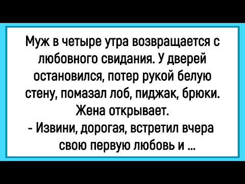 Видео: 💁‍♂️Как Муж В 4 Утра Вернулся Со Свидания! Сборник Очень Смешных Анекдотов! Юмор! Позитив!