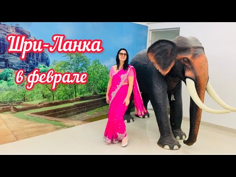 Видео: ИДЕАЛЬНЫЙ МАРШРУТ // ЛУЧШИЕ ПРОВЕРЕННЫЕ МЕСТА