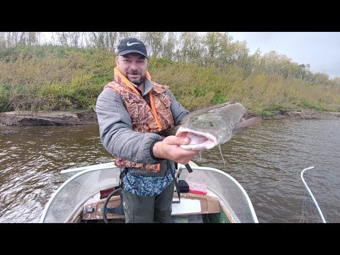 Видео: Рыбалка.Отрыв по хищнику,рыбалка с сыном.