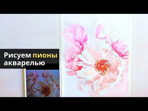 Видео: Рисуем нежные пионы акварелью — kalachevaschool.ru — Поэтапный урок с Вероникой Калачевой
