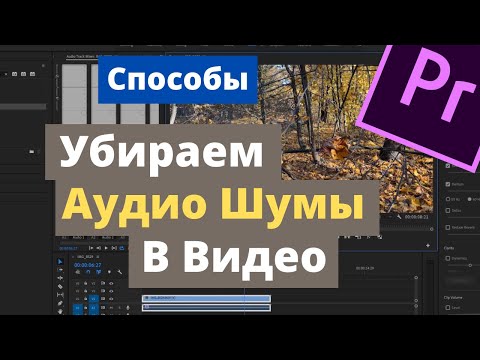 Видео: Как убрать Аудио Шумы в видео в Adobe Premiere Pro