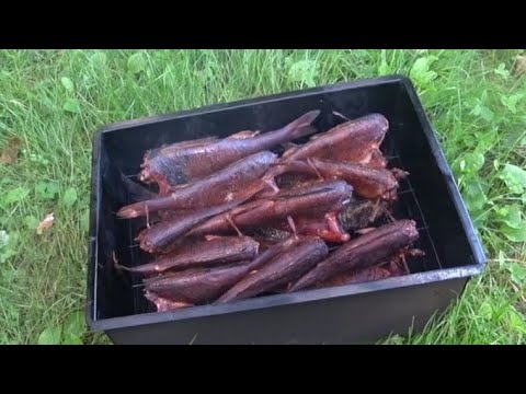 Видео: Рыба горячего копчения 