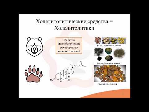 Видео: 31.2. Средства, влияющие на функцию печени. Желчегонные средства, холелитолитики, гепатопротекторы