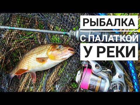 Видео: Рыбалка с палаткой у реки. Спиннинг и Нахлыст. Походная кухня. Посиделки у костра.
