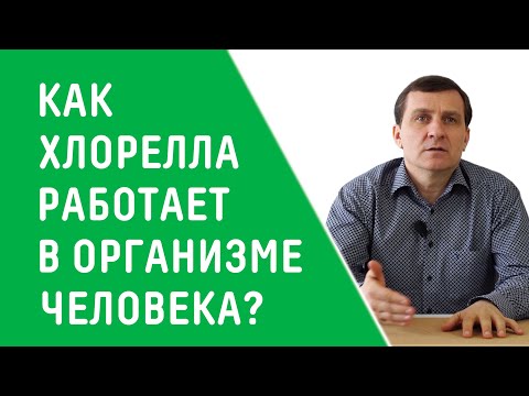 Видео: КАК ХЛОРЕЛЛА РАБОТАЕТ В ОРГАНИЗМЕ ЧЕЛОВЕКА?