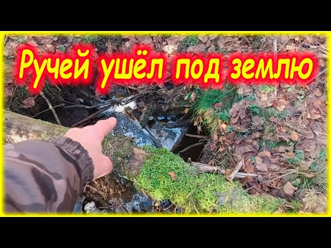 Видео: Странный ручей. Такого я ещё никогда не видел