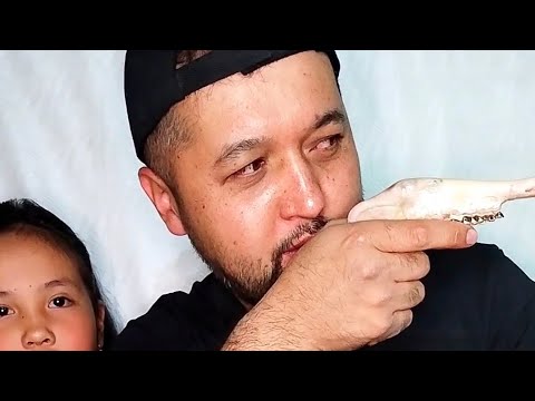 Видео: ҚОЙДЫҢ БАСЫ ҚАЗАҚША МУКБАНГ // АСМР ЕДА // GOAT HEAD MUKBANG EATING SHOW