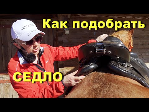 Видео: Как подобрать седло для лошади. Изготовление шаблона.