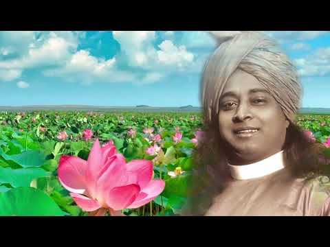 Видео: Всегда стремитесь. Парамханса Йогананда