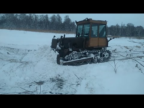 Видео: ДТ 75 снова в деле.