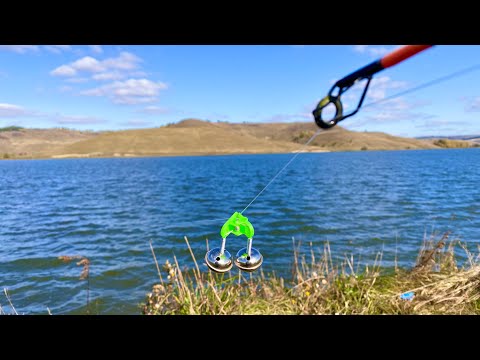 Видео: Ждали сазана и вот он взял. Рыбалка на донки в ноябре 2025.