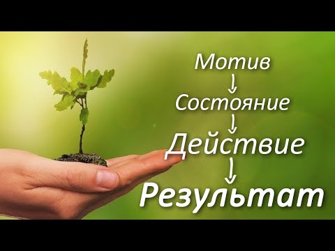 Видео: Мотив - Состояние - Действие - Результат