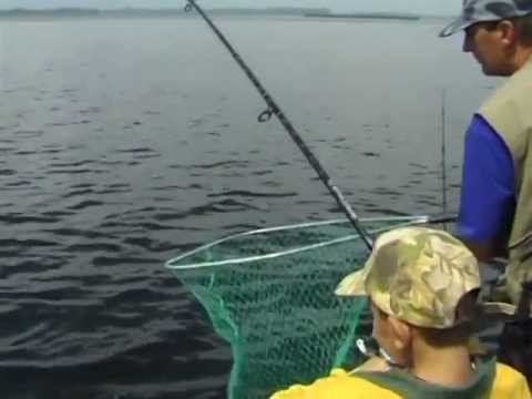 Видео: О рыбалке всерьез. Троллинг на мелководье