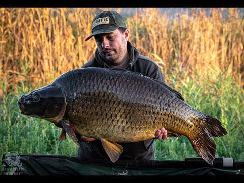 Видео: Шаранджийски риболов на язовир Хирево. 21кг.+ !!!  / Amazing carp fishing session at Hirevo lake !!!