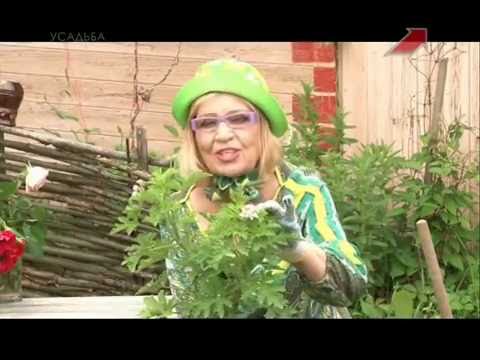 Видео: Сад.  Серия 210.  Пеларгония и герань.
