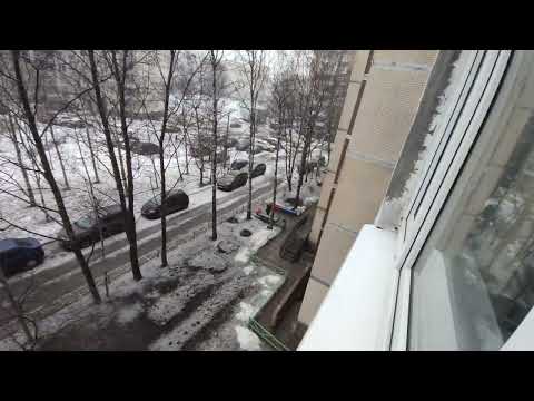 Видео: Сирена в Санкт-Петербурге, 5 марта 2025 год