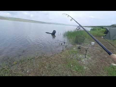 Видео: Егорлыкское водохранилище 27-28/05.23