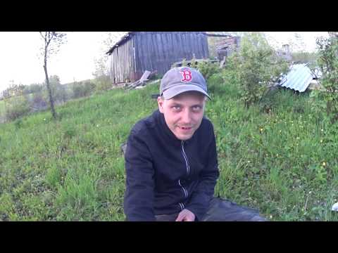 Видео: КУХНЯ ОТШЕЛЬНИКА!!!! МЯСО С МОРКОВКОЙ.