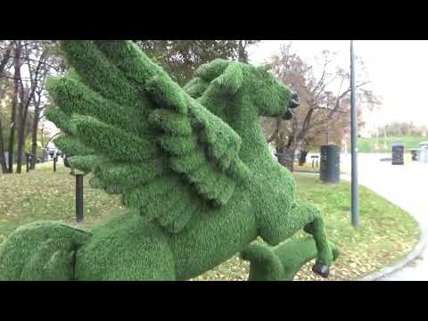 Видео: Золотая осень. Сергей Чекалин. Golden Autumn. Sergey Chekalin.