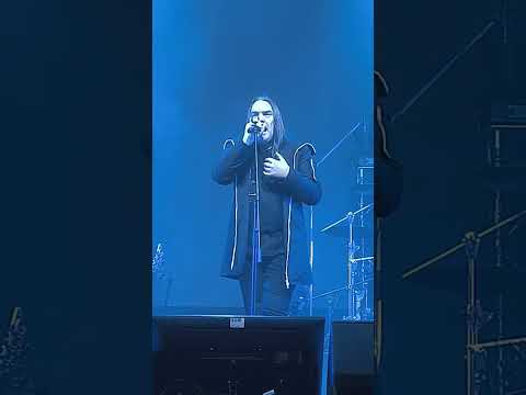 Видео: ГОРШЕНЁВ / КУКРЫНИКСЫ - "Фаворит солнца" 🫶