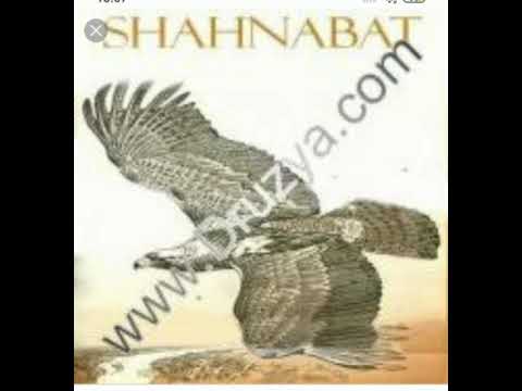 Видео: ГР  ШАХНАБАТ  95  сос  охварай  аватда