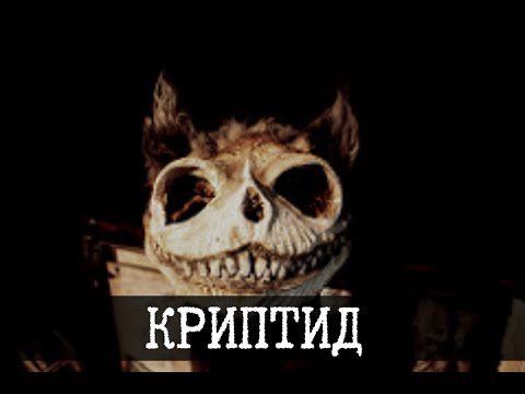 Видео: Криптиды Томаса Мерелина, SCP-1867, страшная правда и все такое