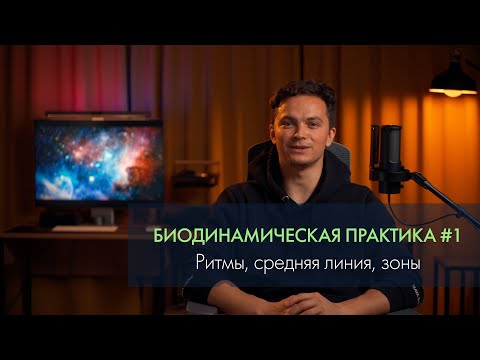 Видео: Введение в биодинамику. Ритмы, зоны, практика. Виктор Андреев. БД-клуб #1