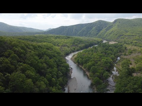 Видео: с. Чистоводное (Лозовский р-н). Май 2025г.