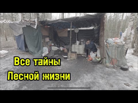 Видео: ТАЙНЫ ЛЮДЕЙ ЛЕСА. Жизнь в лесу. МУСОРЩИК