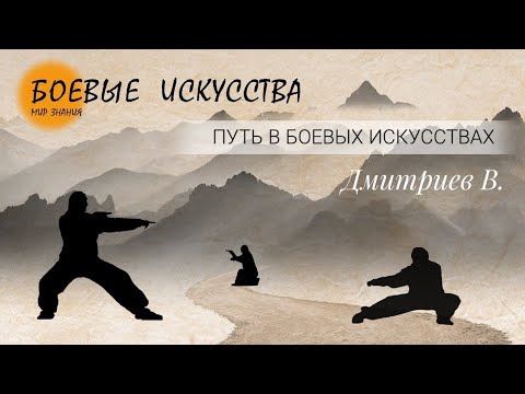 Видео: Мой путь в боевых искусствах