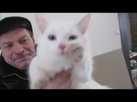 Видео: Спортсмены приехали в Уфе и разное о спорте.