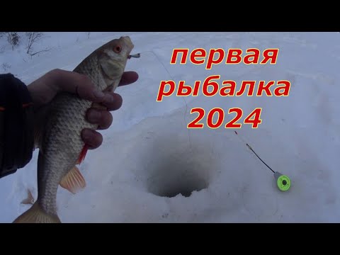 Видео: Открытие сезона 2024. Рыбалка на мормышку.