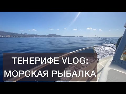 Видео: ТЕНЕРИФЕ VLOG: морская рыбалка