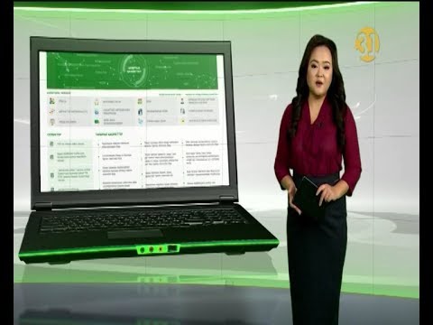 Видео: Зейнетақы қорына түсетін әрбір тиынды қалай бақылап отыру керек?