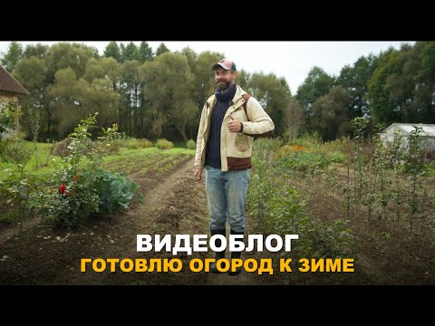 Видео: ВИДЕОБЛОГ: ОСЕНЬЮ В ОГОРОДЕ РАБОТЫ МЕНЬШЕ НЕ СТАНОВИТСЯ. Готовлю сад и огород к зиме.