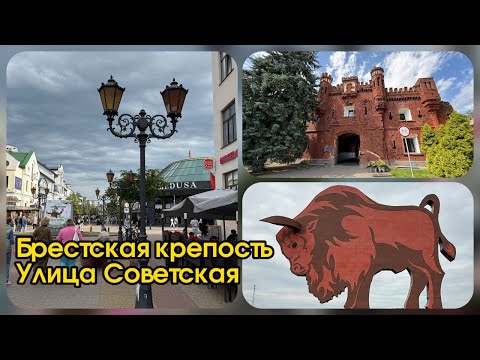 Видео: Брест. Брестская крепость. 25.06.25